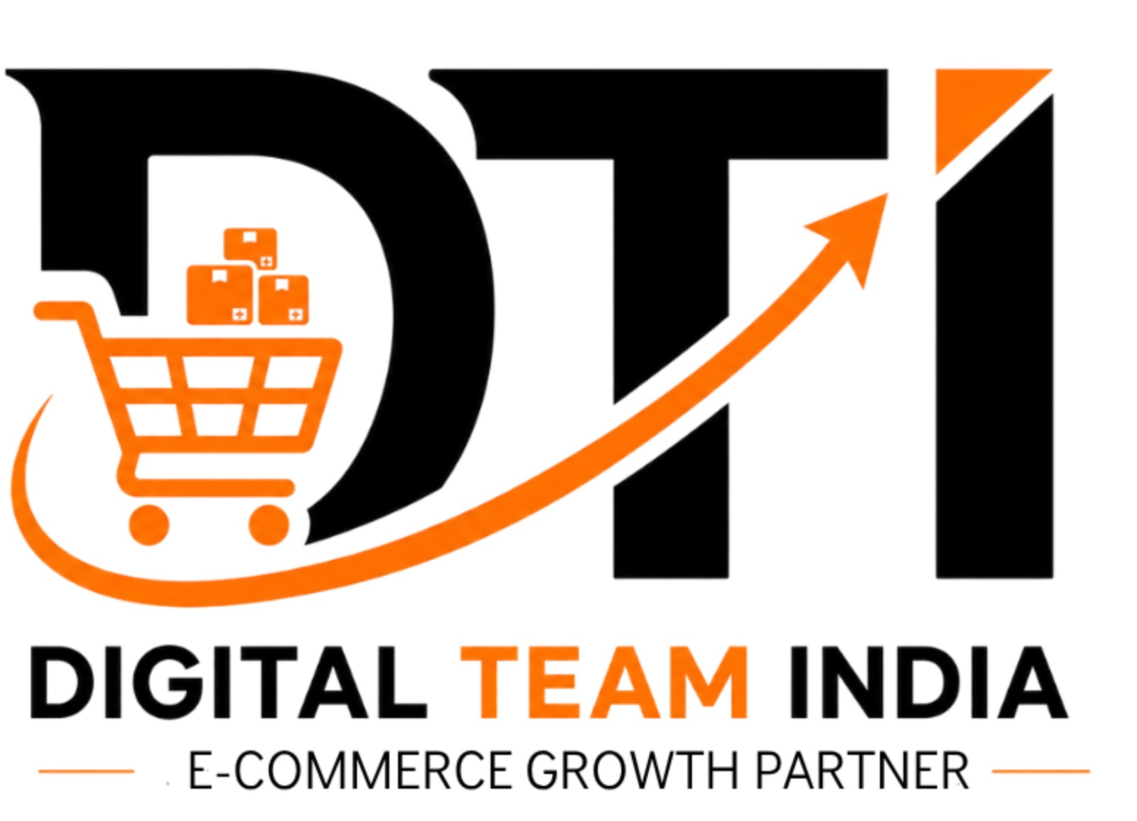 Digital Team India - E-Commerce Growth Partner
